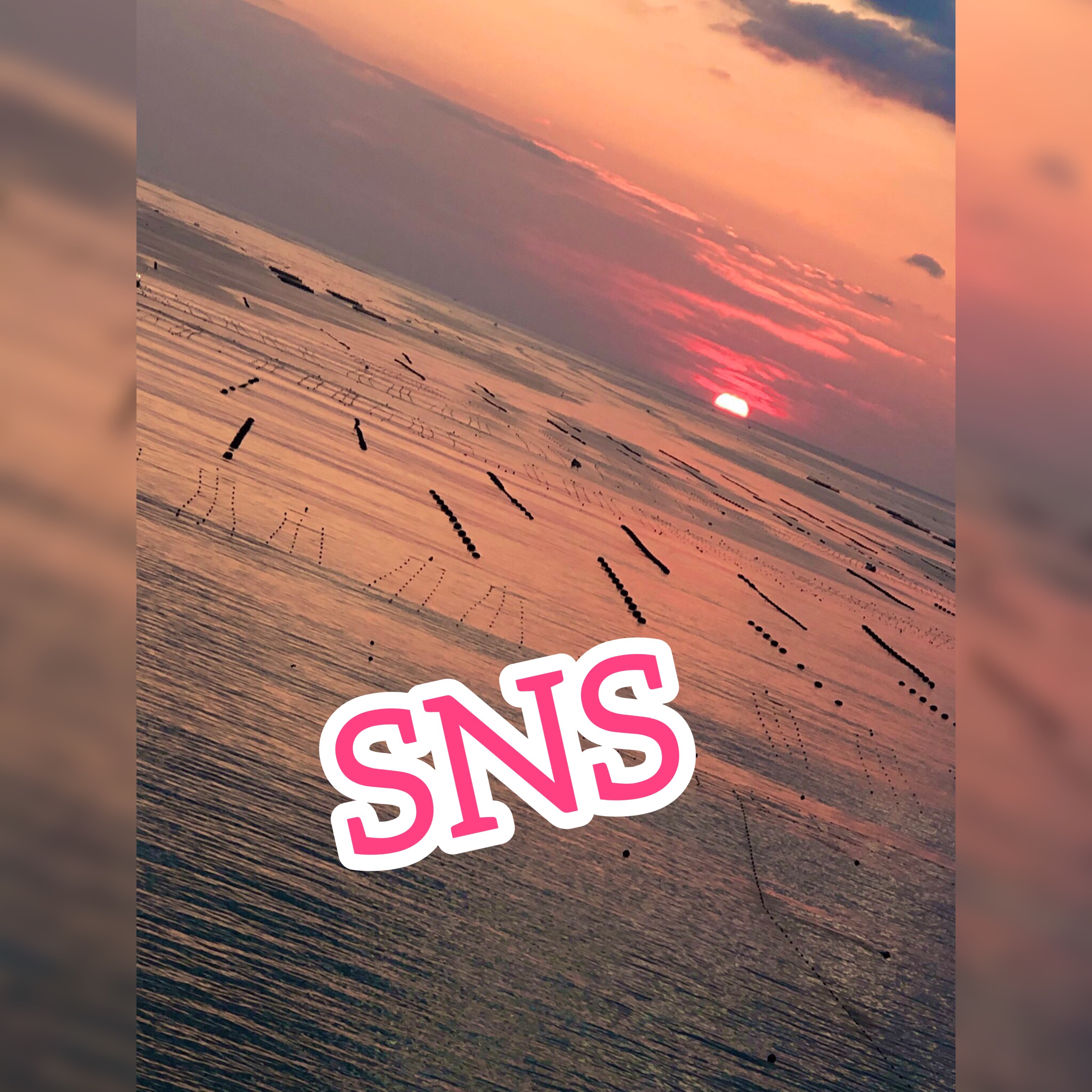 SNS